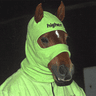 horsefacts.eth