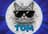 sailorcat