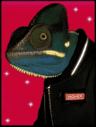 qt